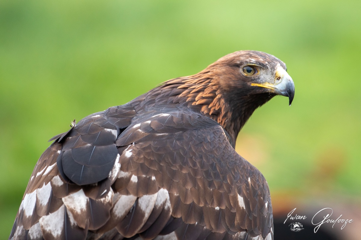  5D40242 28 november 2021 1128 11